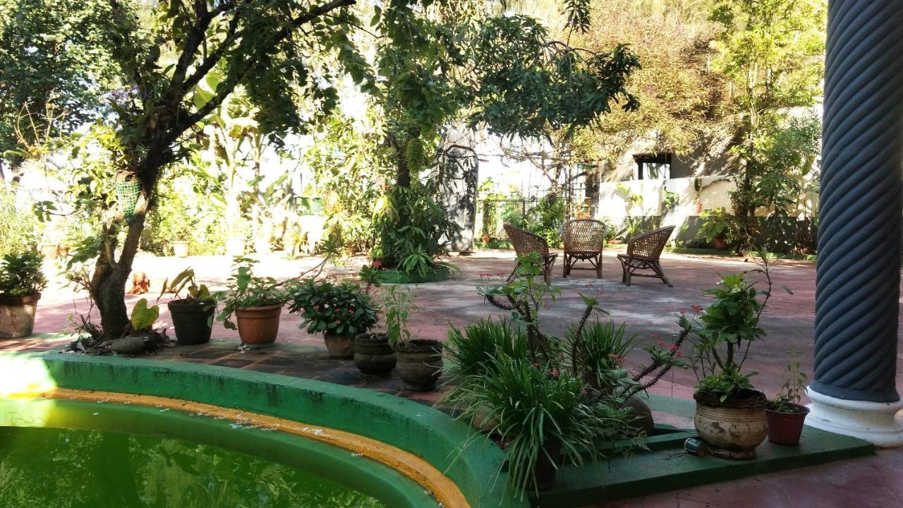 Kadalamma Beach Homestay Alappuzha Eksteriør billede